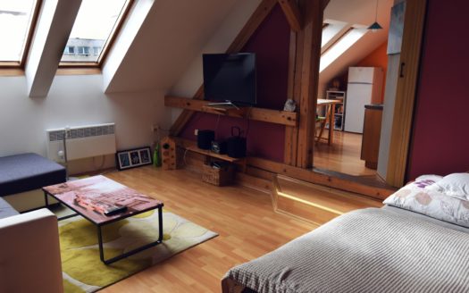 Podkrovní bydlení 1+1 kousek od centra