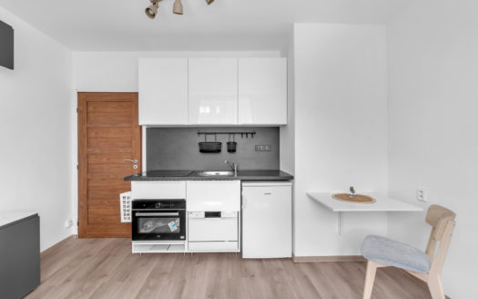 Pronájem zařízeného byt 1+kk