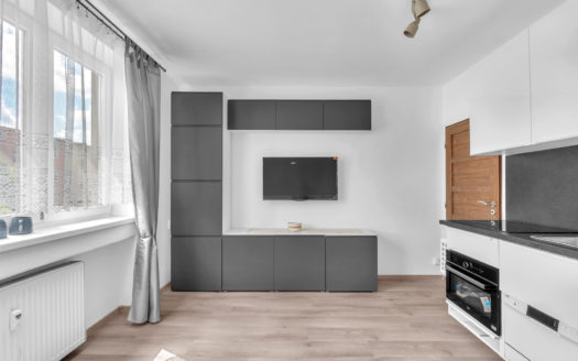 Pronájem zařízeného byt 1+kk