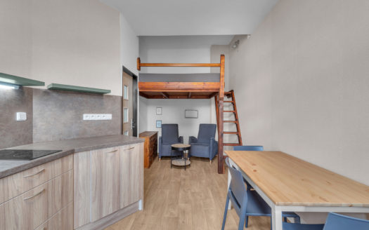 Pronájem zděného bytu 1+kk