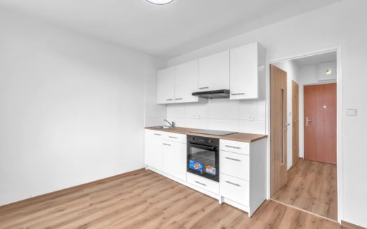 Byt 1+1 po kompletní rekonstrukci