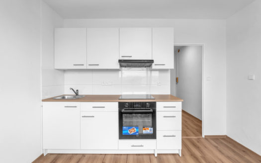 Byt 1+1 po kompletní rekonstrukci