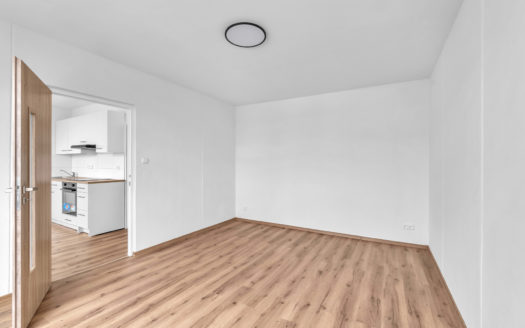 Byt 1+1 po kompletní rekonstrukci