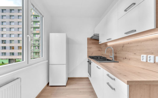 Byt 1+1 po rekonstrukci